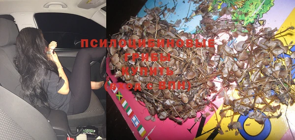 прущая мука Арсеньев