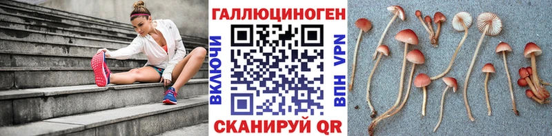 OMG ссылки  Волгодонск  Галлюциногенные грибы прущие грибы 