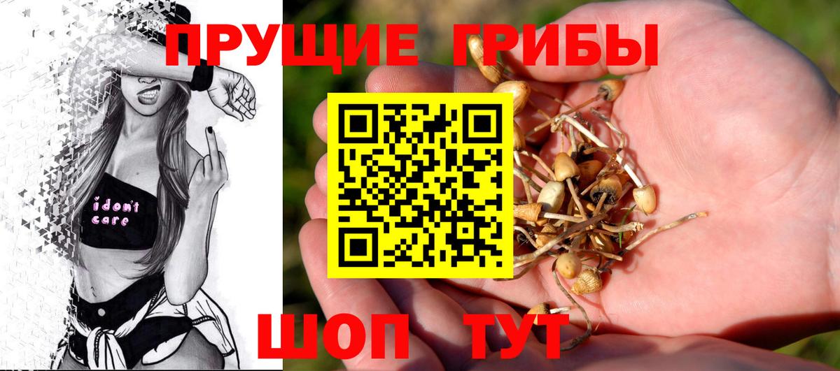 продажа наркотиков  Вход с VPN  Волгодонск  Галлюциногенные грибы мухоморы 
